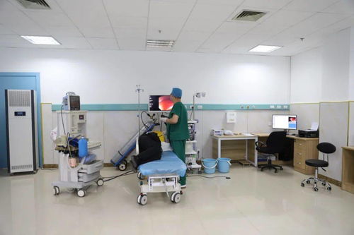 技术服务 设备、环境与专业能力缺一不可