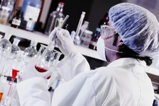 河北德诺商品检测技术服务 专业保障，品质信赖